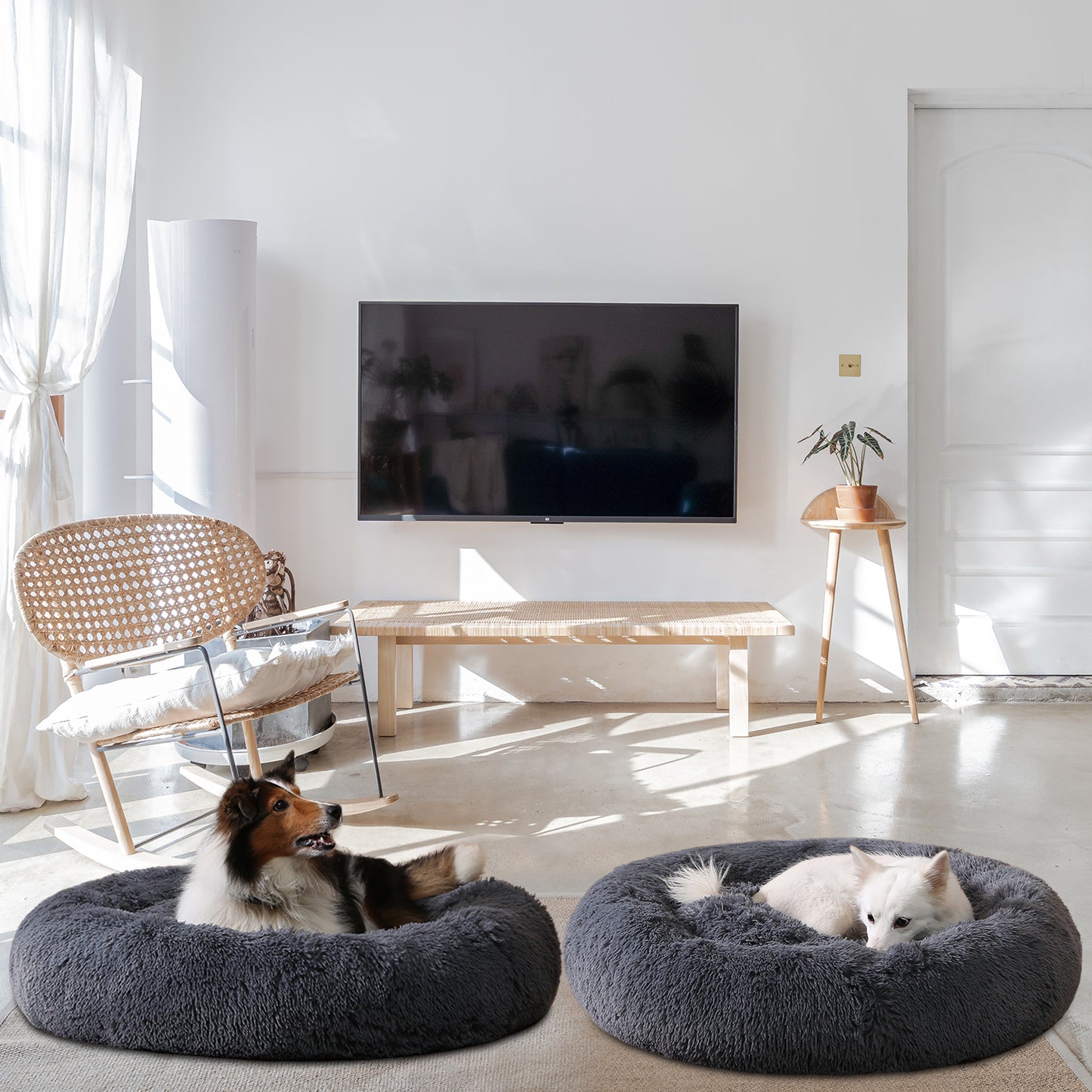 Snuggle Haven: Cozy Pet Bed