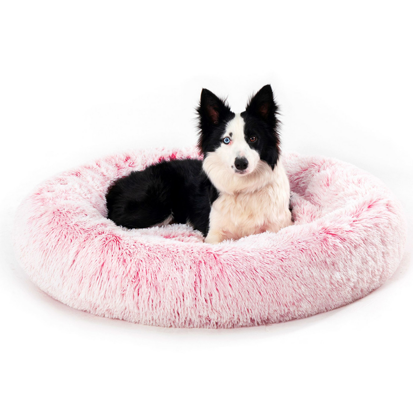 Snuggle Haven: Cozy Pet Bed