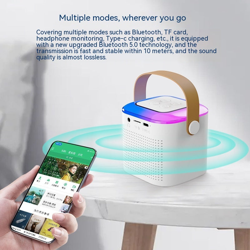 VibeTone Karaoke Speaker