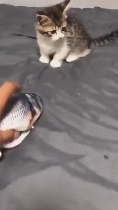 WiggleFish Cat & Dog Interactive Toy